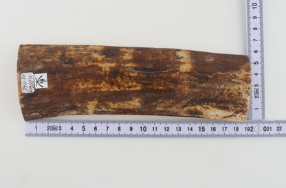 Brown-orange mammoth bark
