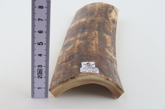 Brown-orange mammoth bark