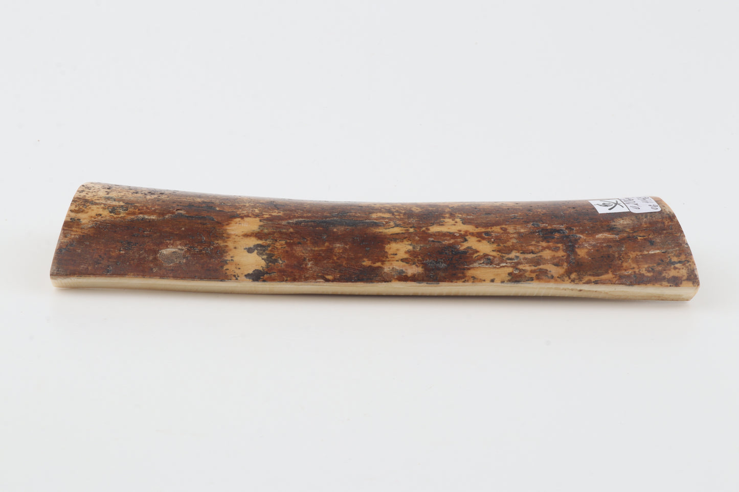 Brown-orange mammoth bark