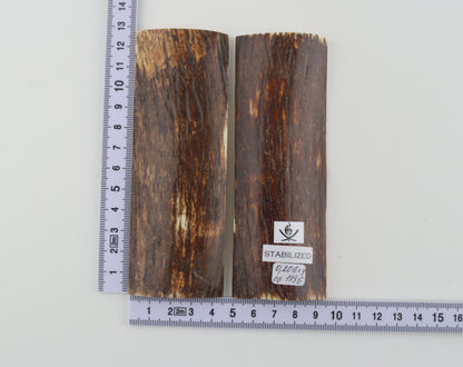 Stabilised mammoth bark scales