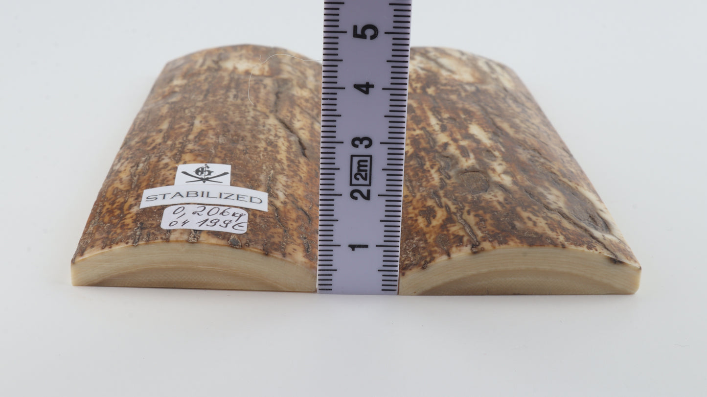Stabilised mammoth bark scales