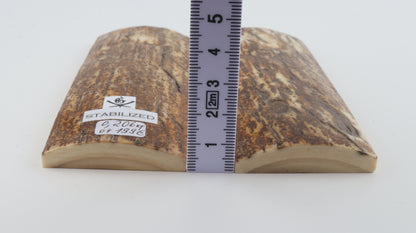 Stabilised mammoth bark scales