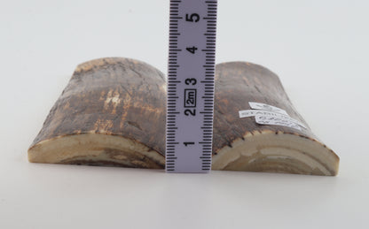 Stabilised mammoth bark scales