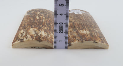 Stabilised mammoth bark scales