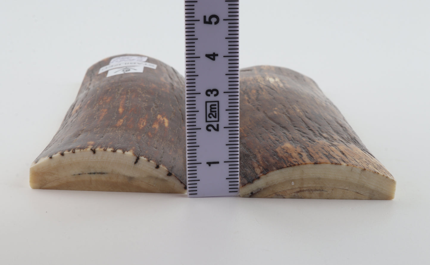 Stabilised mammoth bark scales