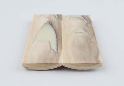 Stabilised mammoth bark scales
