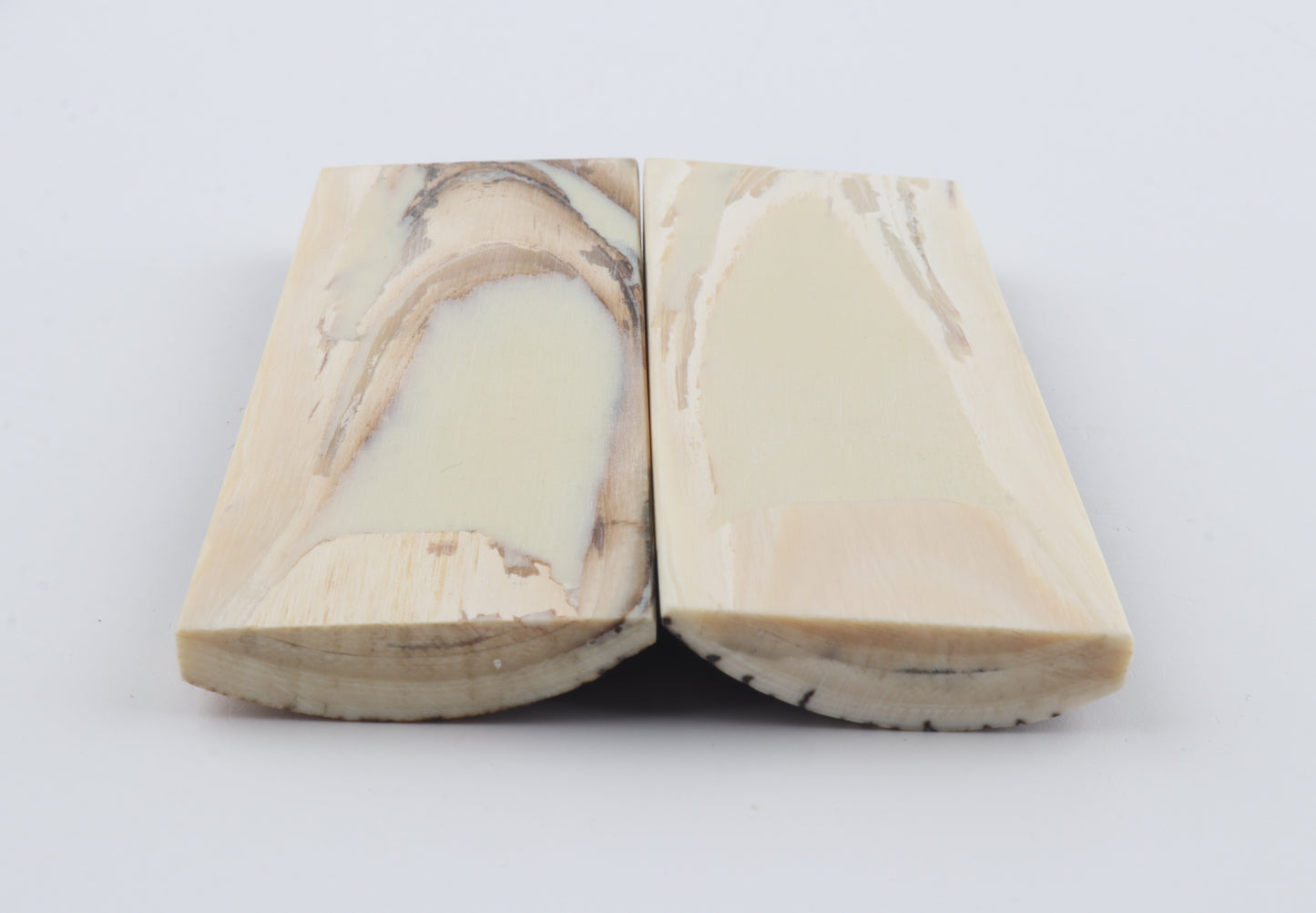 Stabilised mammoth bark scales