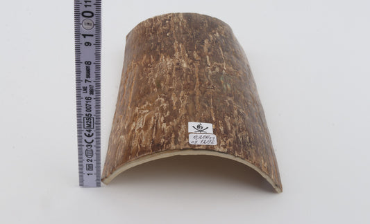 Beige mammoth bark