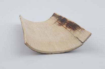 Beige mammoth bark