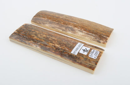 Stabilized mammoth bark scales
