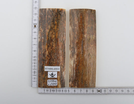 Stabilized mammoth bark scales