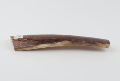 Red-brown mammoth bark
