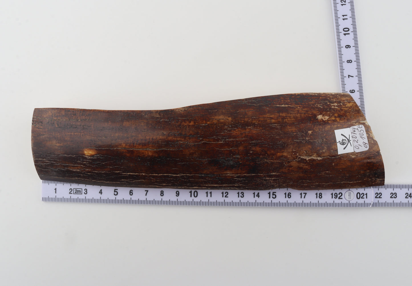 Red-brown mammoth bark