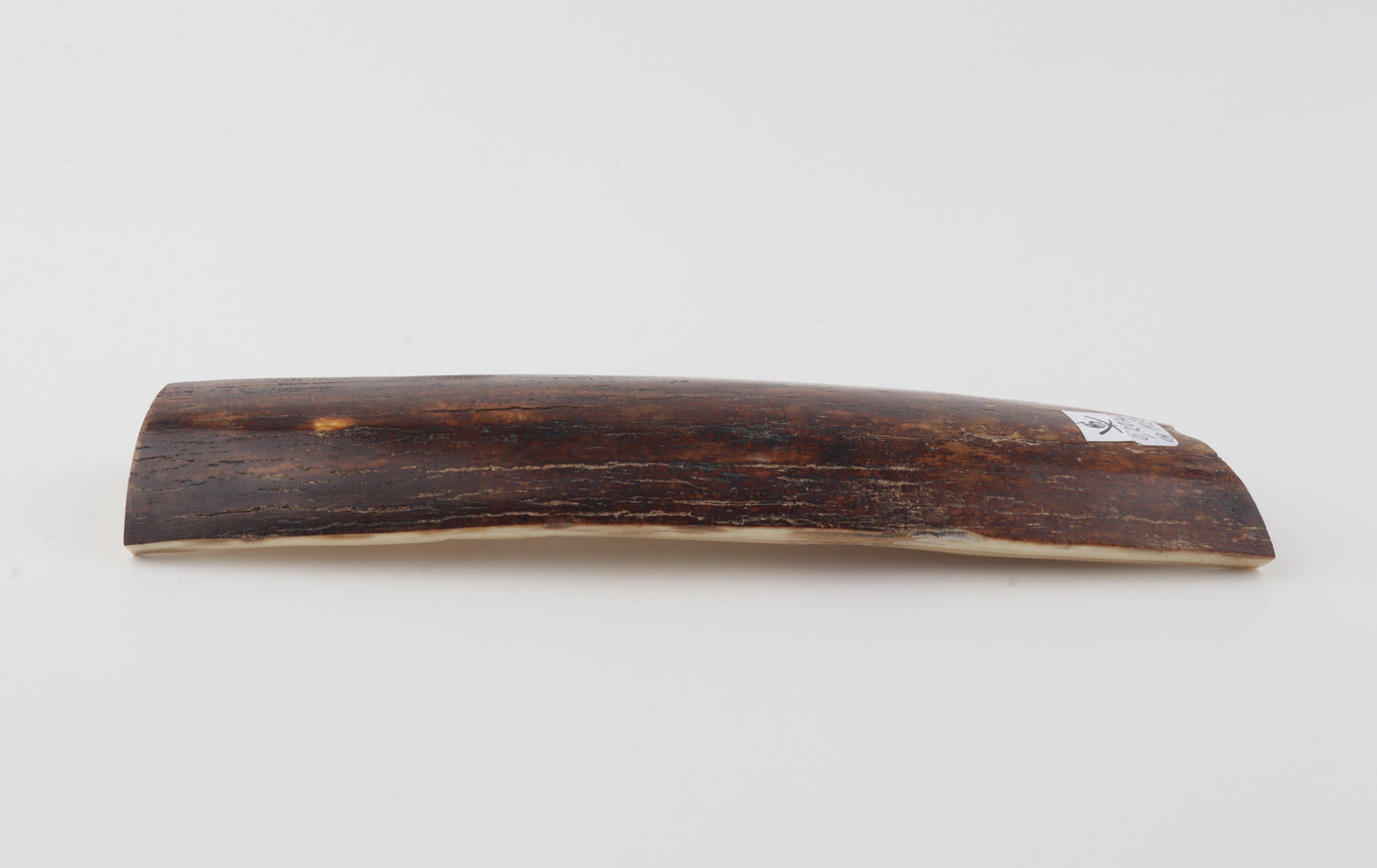 Red-brown mammoth bark