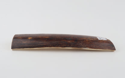 Red-brown mammoth bark