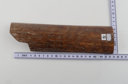 Caramel mammoth bark