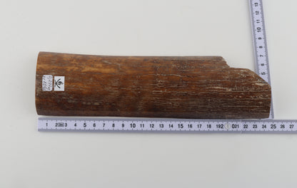 Caramel mammoth bark