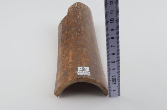 Caramel mammoth bark