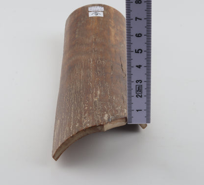 Caramel mammoth bark