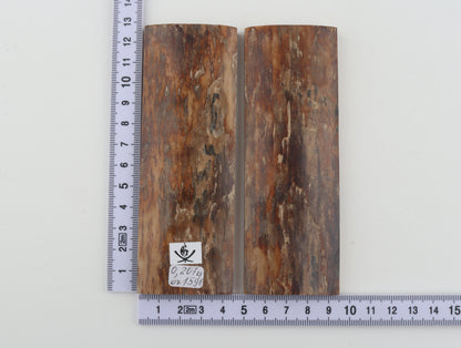 Natural mammoth bark scales