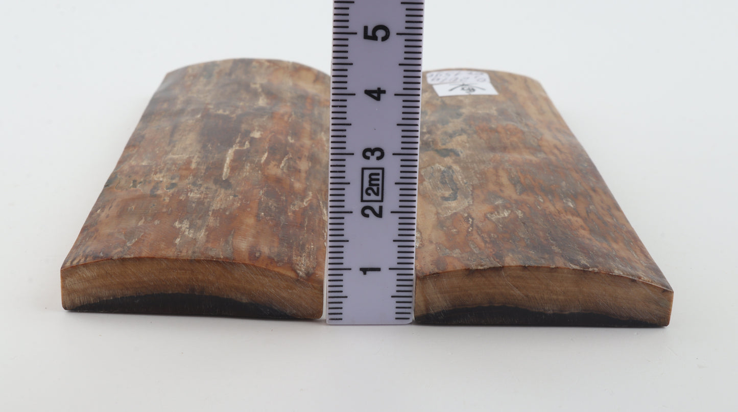 Natural mammoth bark scales