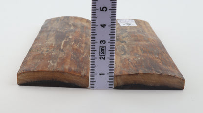 Natural mammoth bark scales