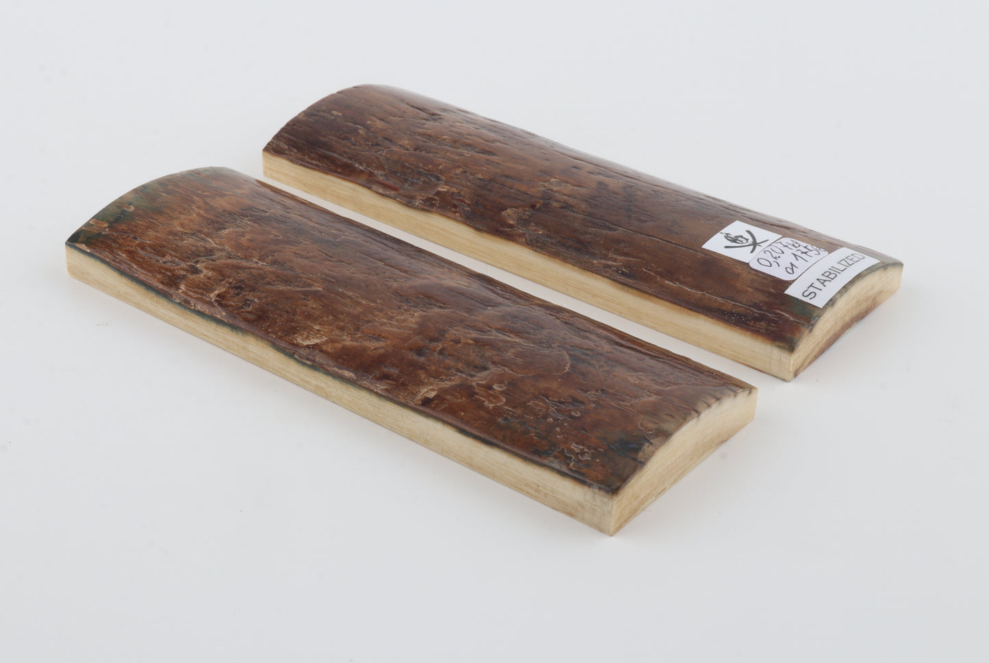 Stabilized mammoth bark scales