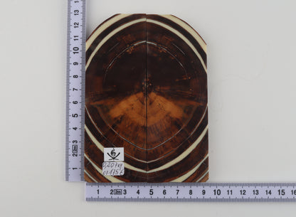 Stabilized mammoth ivory scales