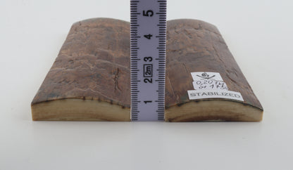 Stabilized mammoth bark scales