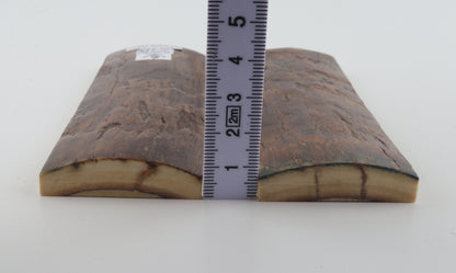 Stabilized mammoth bark scales