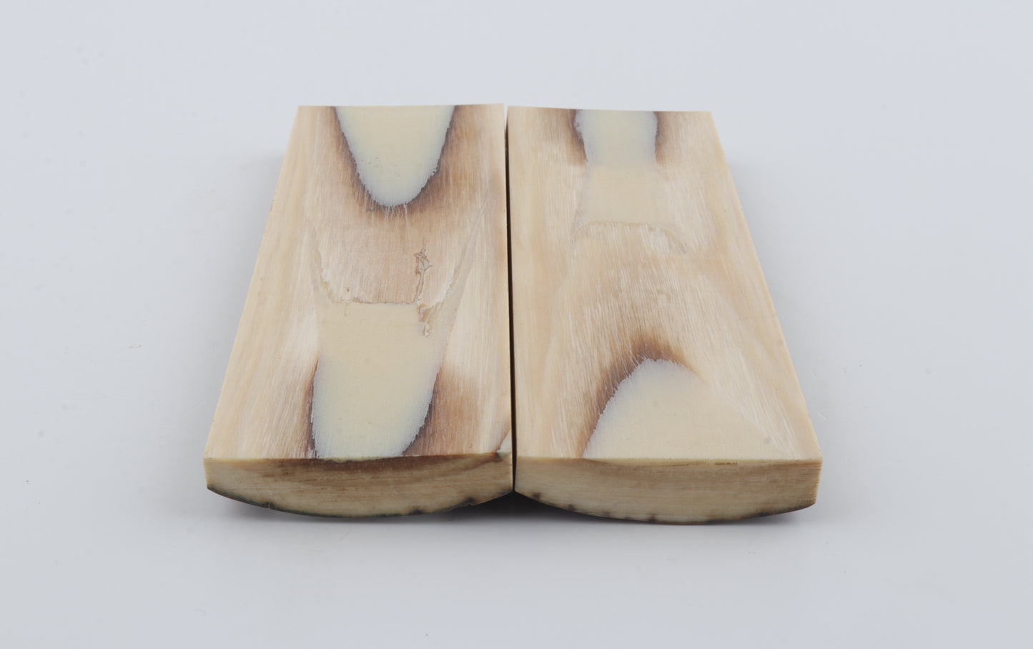 Stabilized mammoth bark scales