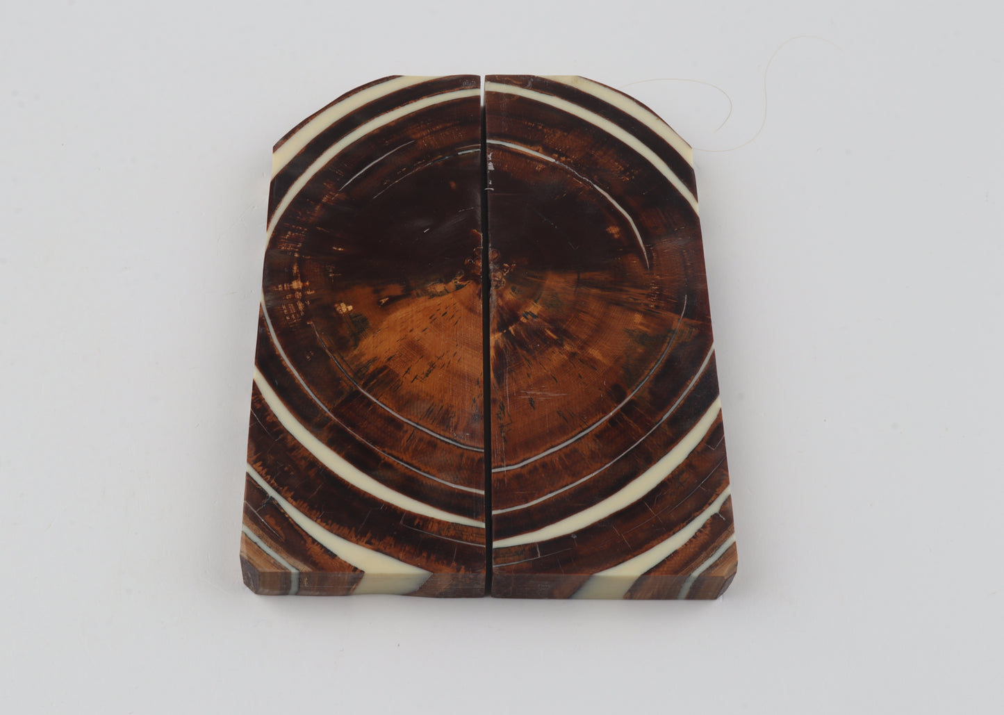 Stabilized mammoth ivory scales