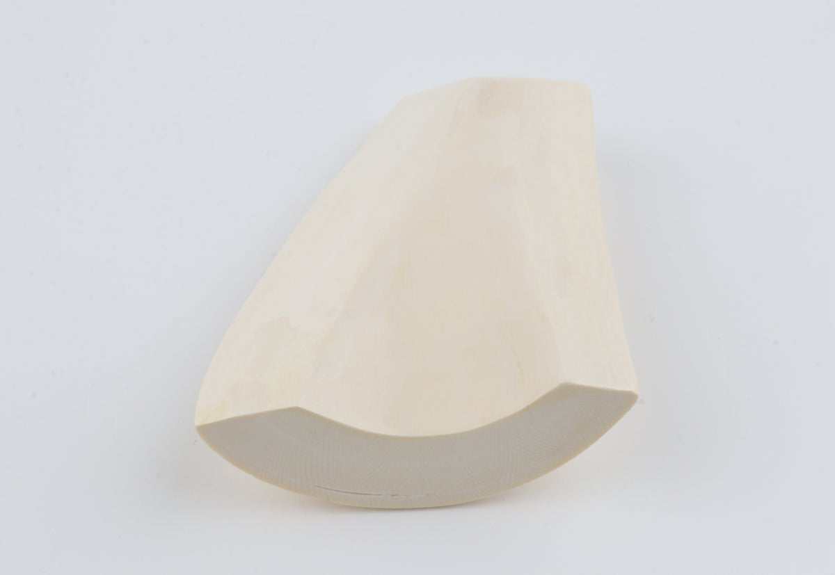 White mammoth ivory segment