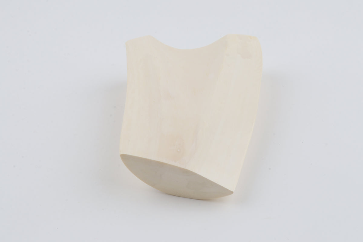 White mammoth ivory segment