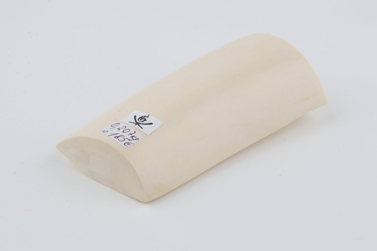 White mammoth ivory segment
