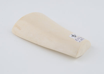 White mammoth ivory segment