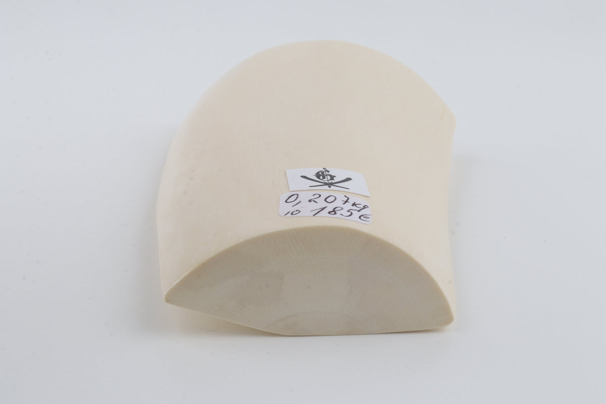 White mammoth ivory segment