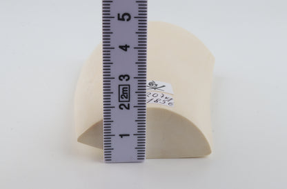 White mammoth ivory segment