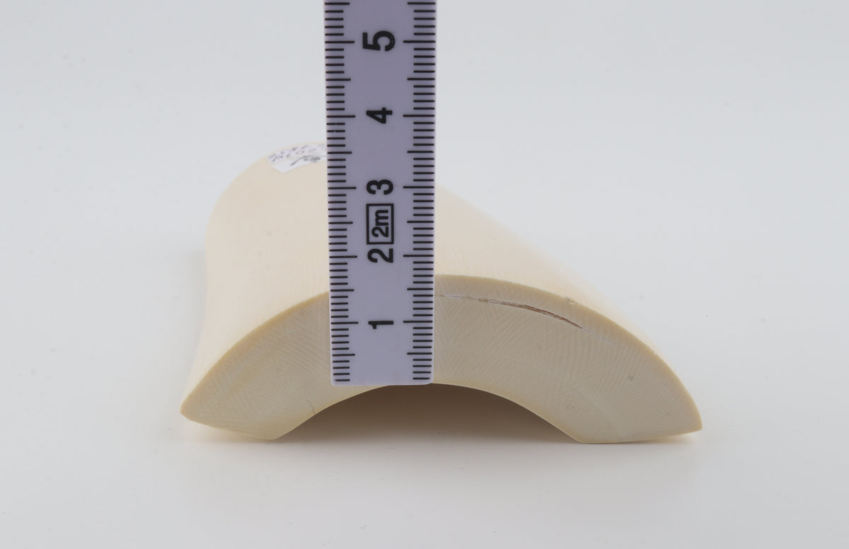 White mammoth ivory segment