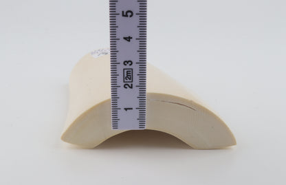 White mammoth ivory segment