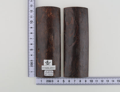 Stabilised mammoth bark scales