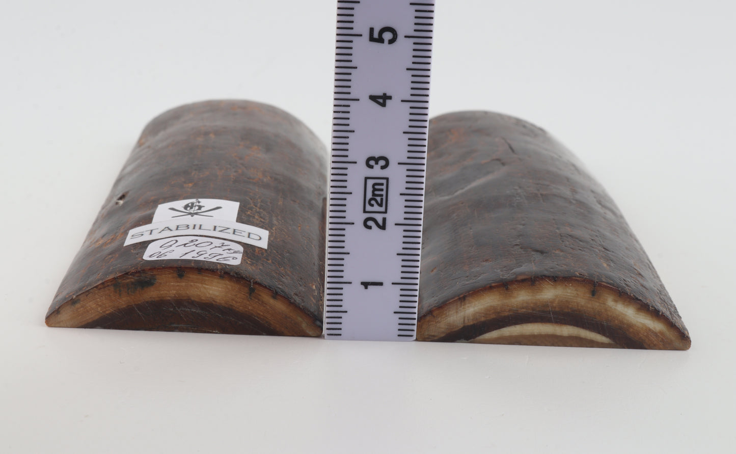 Stabilised mammoth bark scales
