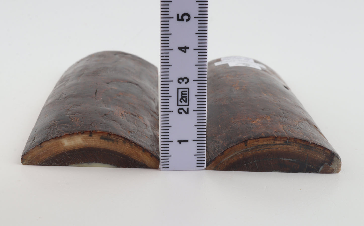 Stabilised mammoth bark scales