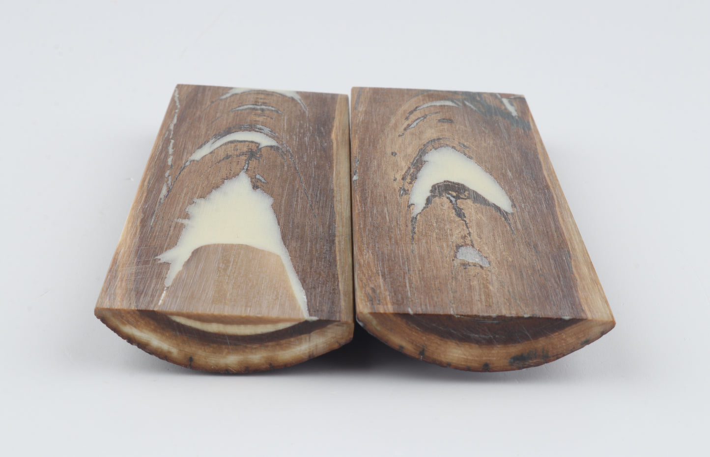 Stabilised mammoth bark scales