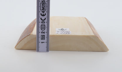 White mammoth ivory segment