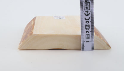 White mammoth ivory segment