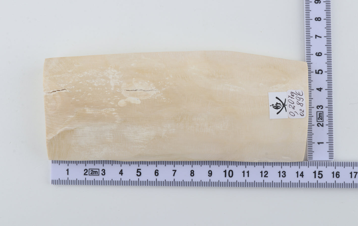White mammoth ivory piece