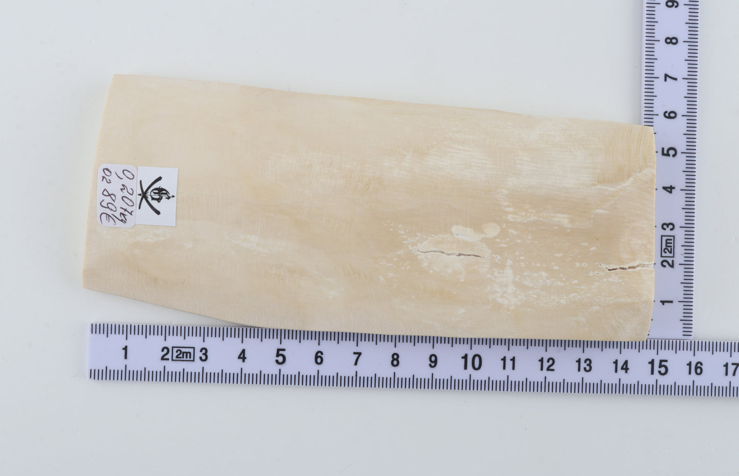 White mammoth ivory piece