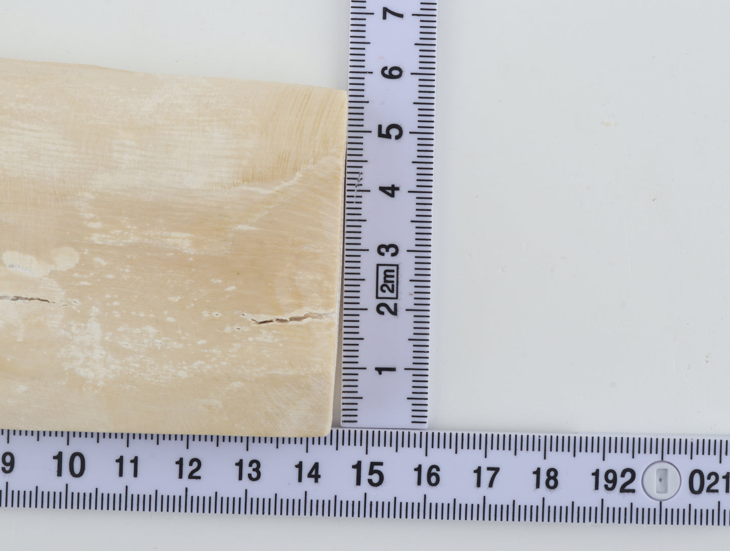 White mammoth ivory piece