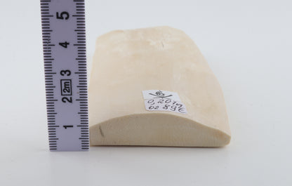 White mammoth ivory piece